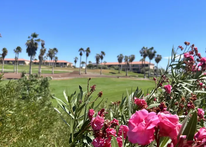 דירה Pool View In Ocean Golf Cc K118