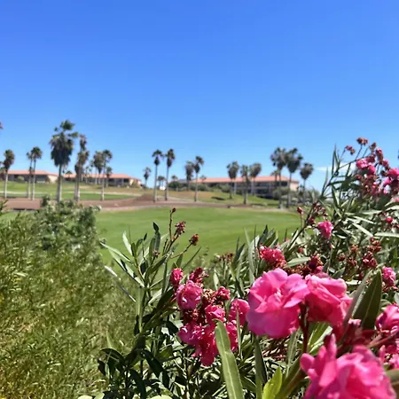Appartement Pool View In Ocean Golf Cc K118