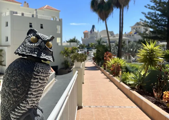 Pool View In Ocean Golf Cc K118 *